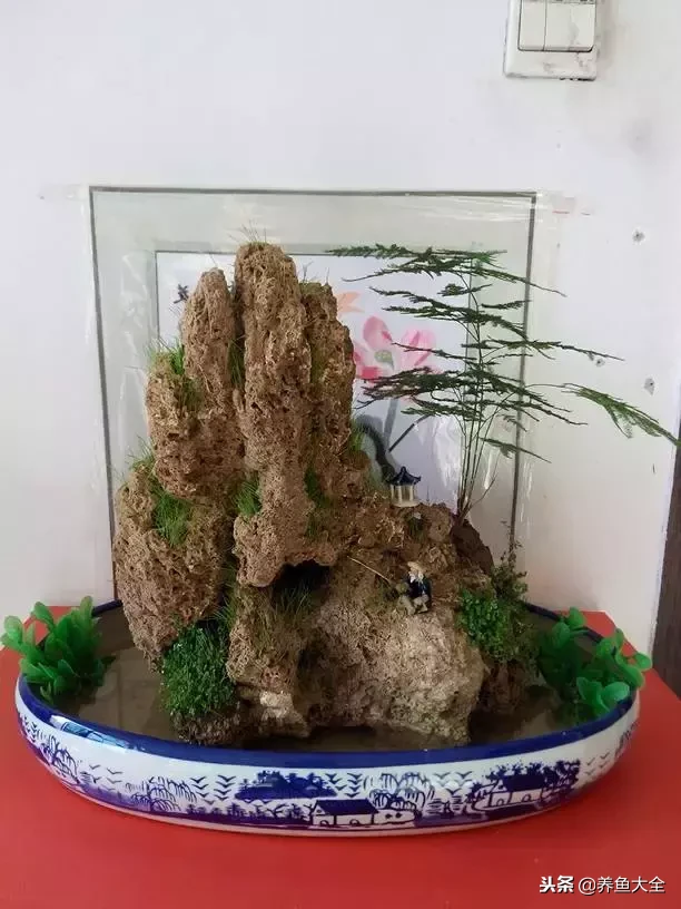 上水石盆景如何养护?