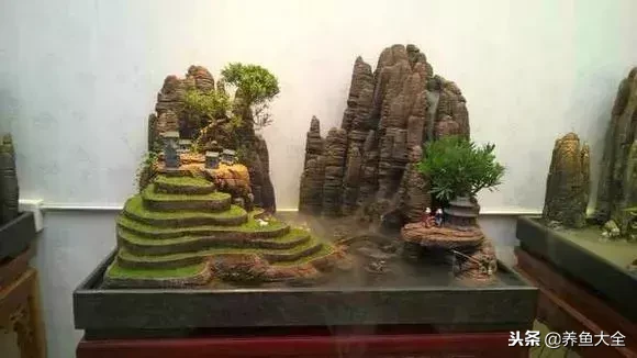 上水石盆景如何养护?