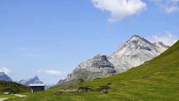 梦见河里有大鱼