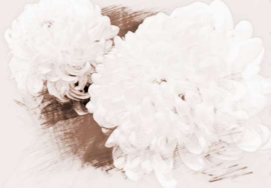 梦见母亲躺在床上