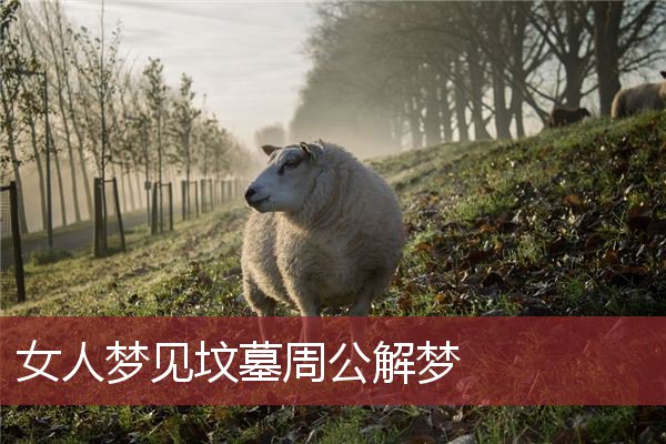 女人梦见坟墓周公解梦