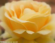 女人梦见什么是吉兆-女人梦到自己吃东西是什么意思