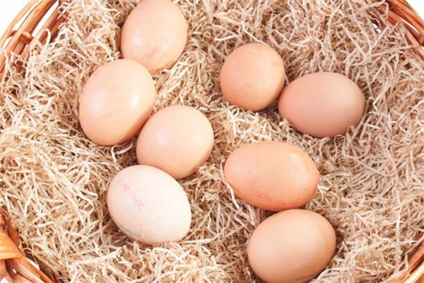 周公解梦己婚女人梦见捡鸡蛋