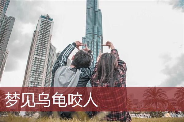 乌龟咬人