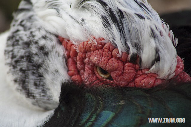 已婚女人梦见下雨好吗周公解梦