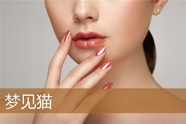 女人梦见兔子 周公解梦