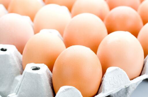 解梦女人梦见打架扔鸡蛋