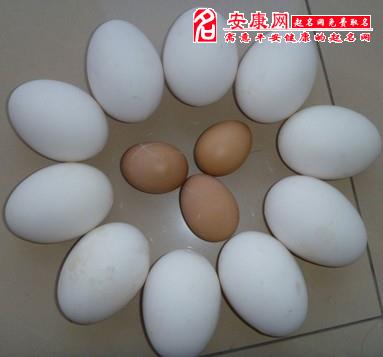 女人梦见捡鸡蛋又打破了解梦
