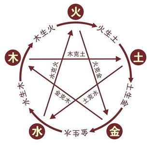 女人梦见柚子是胎梦么解梦