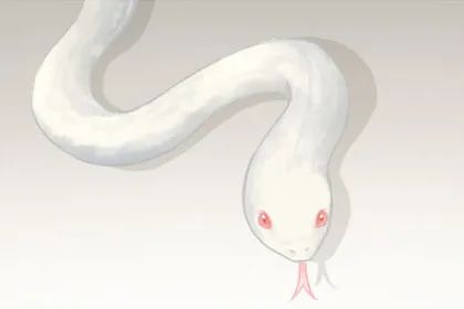 周公解梦梦见女人肚脐