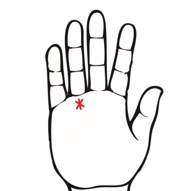 如何看从手纹看学业