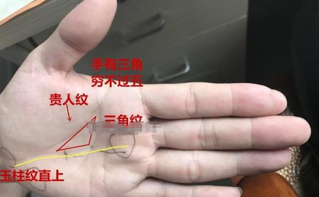 坎宫和掌心的区别