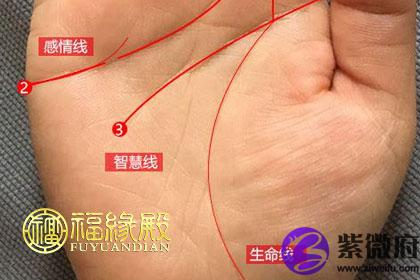 手掌长短是什么意思