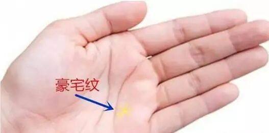 手掌凤眼纹好吗