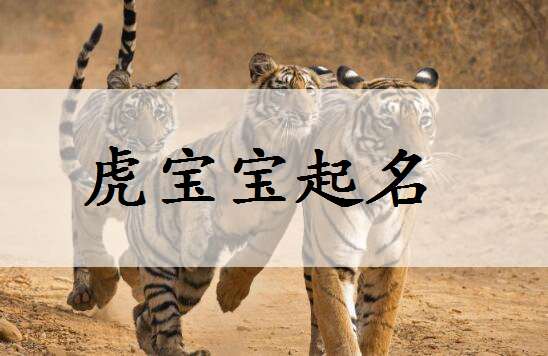 2010虎年男宝宝起名大全