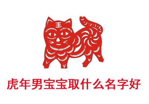 虎年一月份男宝宝起名