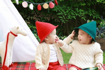 虎年男宝宝起名刘嘉禾寓意怎么样