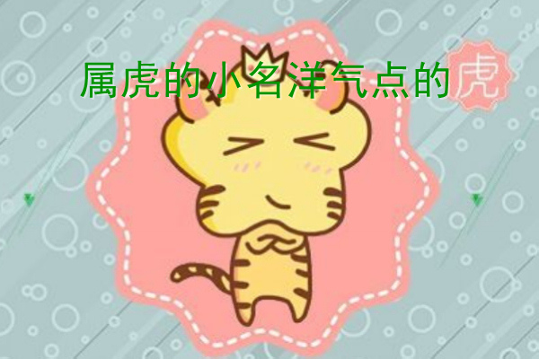 属虎的小名洋气点的