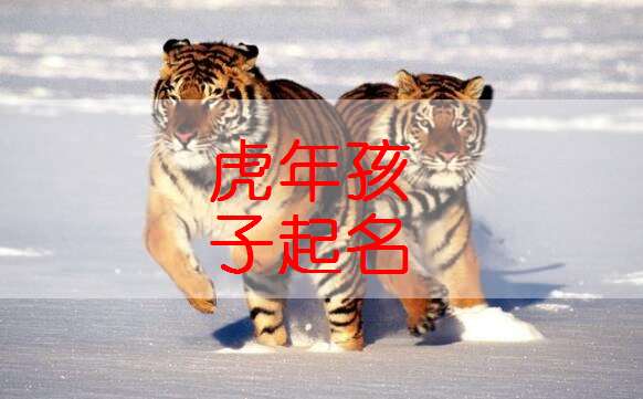虎年男宝宝起名大全集