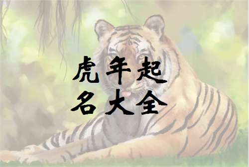 姓胡又是虎年宝宝起名