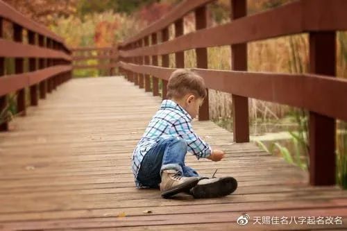 虎年姓李嘉字头男宝宝起名