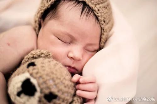 虎年姓李嘉字头男宝宝起名