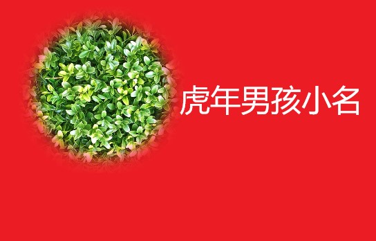 杨氏宝宝起名虎年