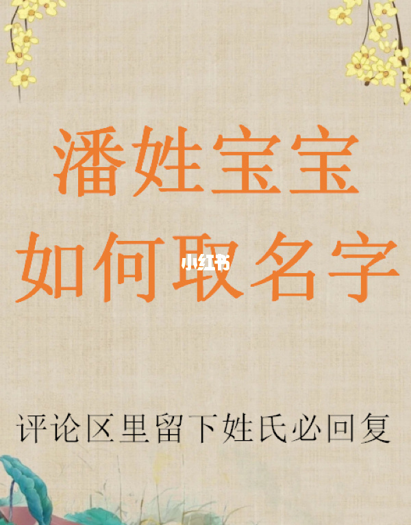 潘姓虎年宝宝起名字