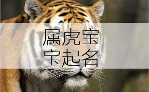 虎年正月生宝宝起名