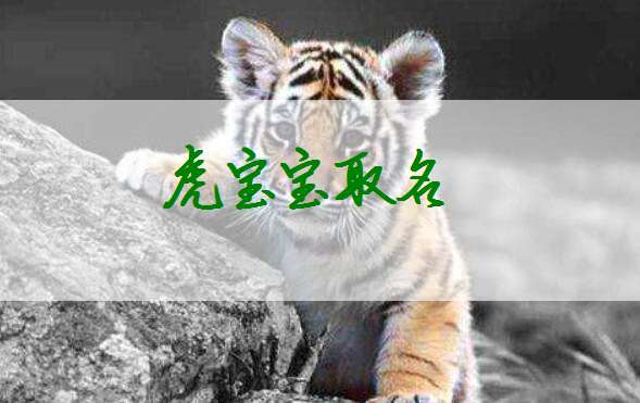 明年虎年宝宝起名可以叫宥宥吗