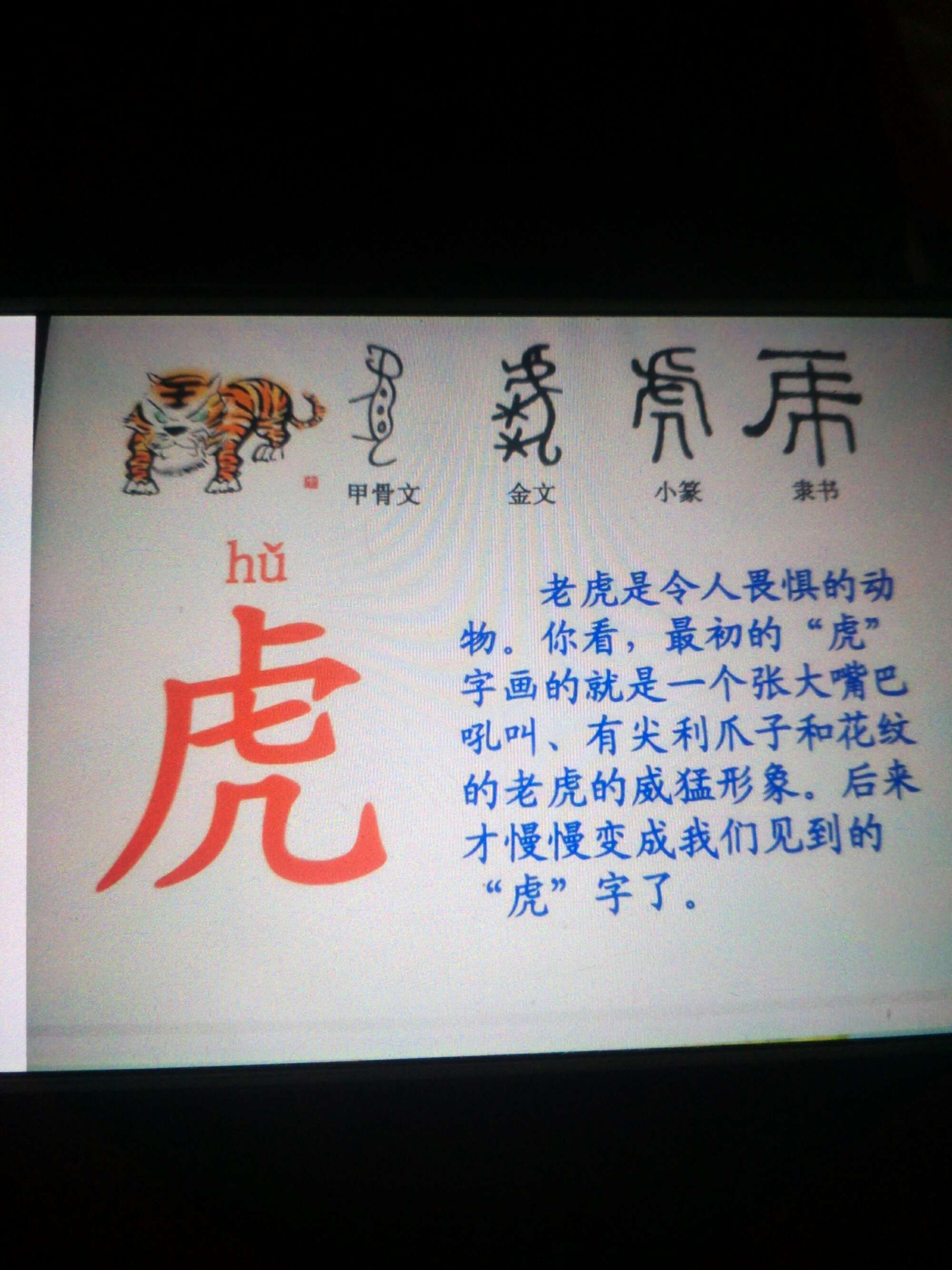 男宝宝虎年名字姓王及五行起名