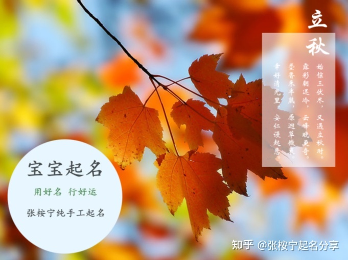 男宝宝虎年名字姓王及五行起名