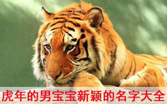 虎年宝宝起名大全男孩兴旺