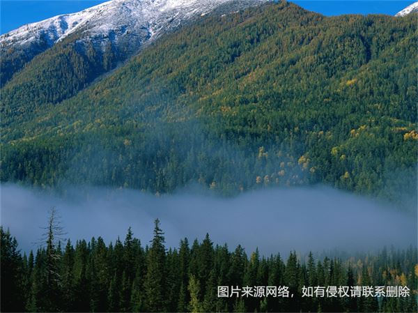 水虎年宝宝起名禁忌