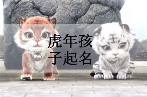 虎年宝宝起名大全男孩单字
