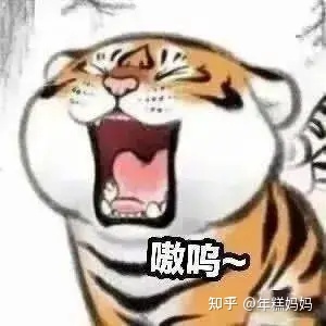 虎年宝宝起名有什么讲究