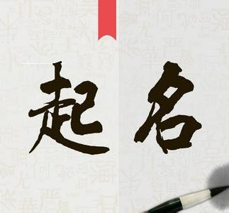 虎年男宝宝起名叫王瑞君怎么样