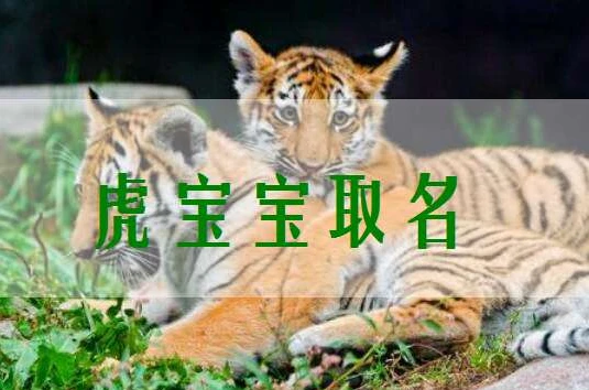 伍姓虎年宝宝起名