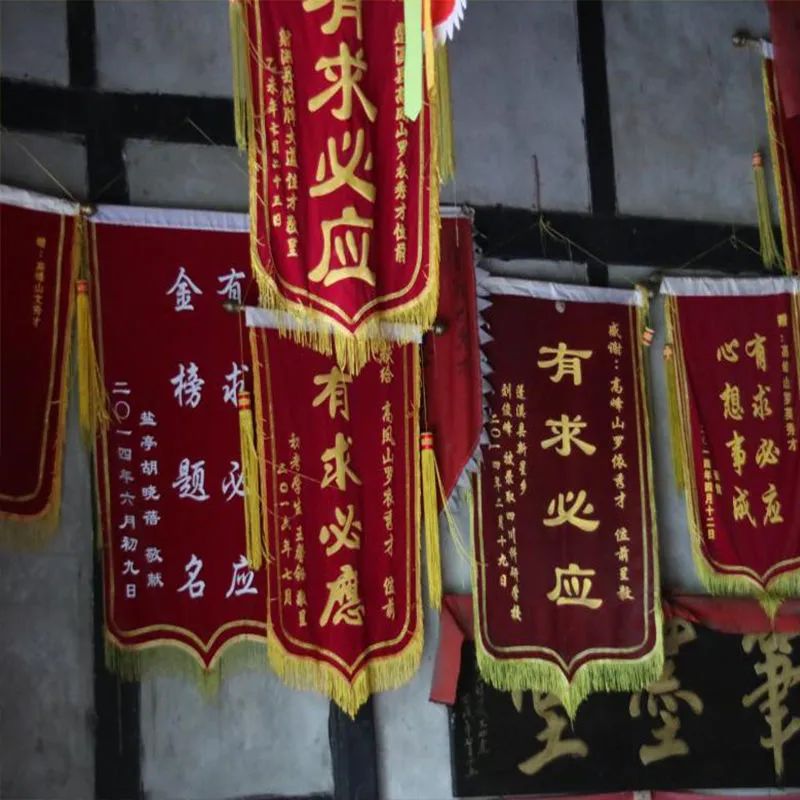 虎年张姓宝宝起名