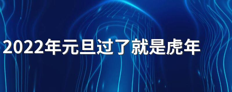 虎年元旦宝宝起名