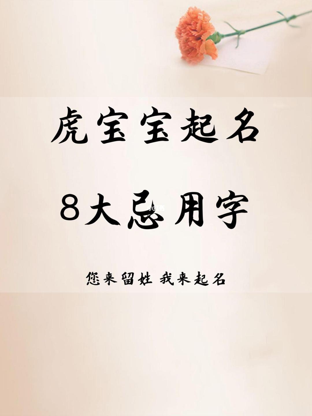 虎年宝宝佑字起名