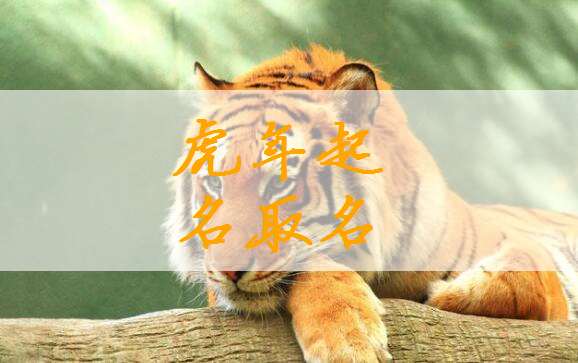 虎年宝宝佑字起名