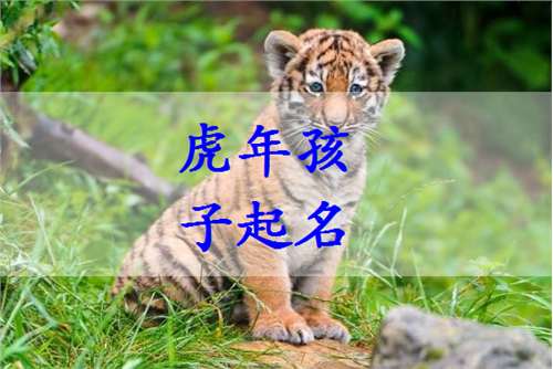 姓龚虎年宝宝起名字