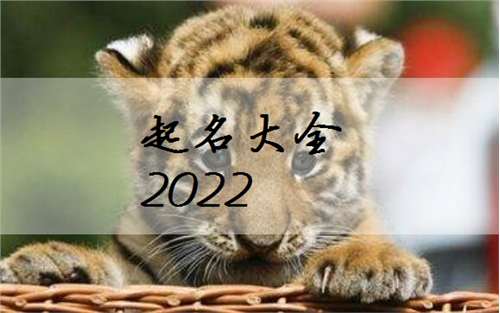 姓龚虎年宝宝起名字
