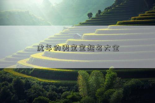 虎年的男宝宝起名大全