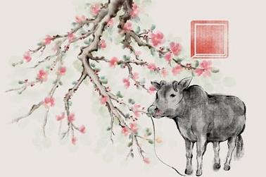 恩五行属性是什么,恩五行属性是什么?