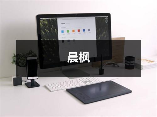 晨枫,晨枫主持人个人简历