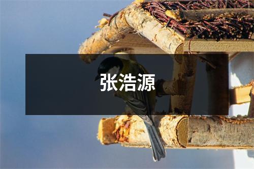 张浩源,张浩源个人资料