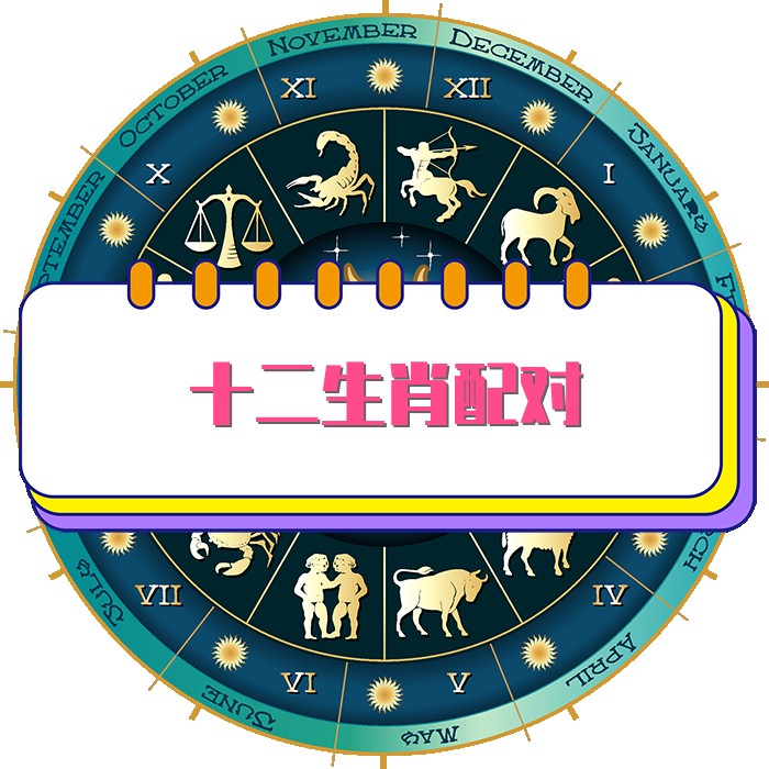 十二生肖配对