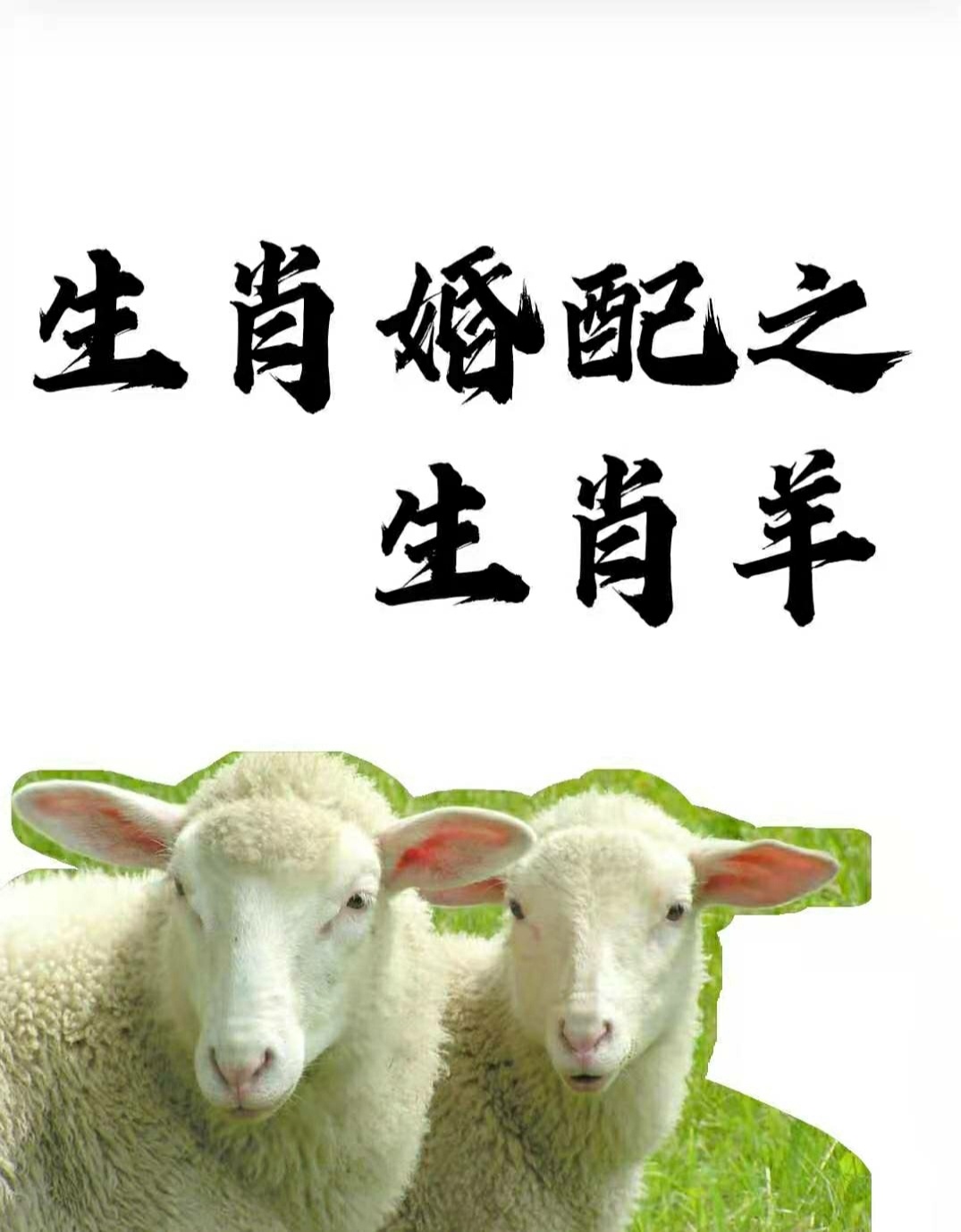 生肖马女和男羊属相婚姻配对